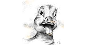 Drawing of Duck by Kelsey 