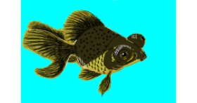Drawing of Goldfish by iris