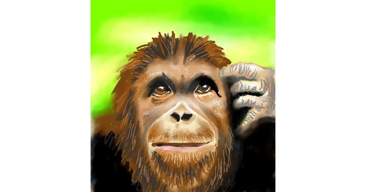 Drawing of Monkey by Vinci