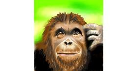 Drawing of Monkey by ⋆su⋆vinci彡