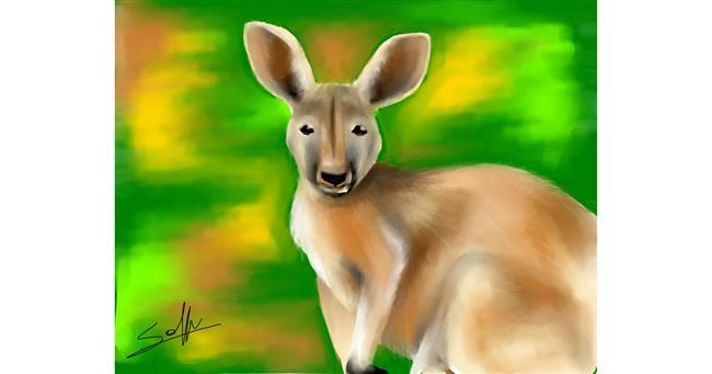 Känguru-Zeichnung von Sophie_draw24