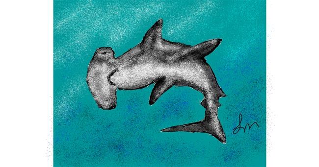 Drawing of Shark by Nonuvyrbiznis 
