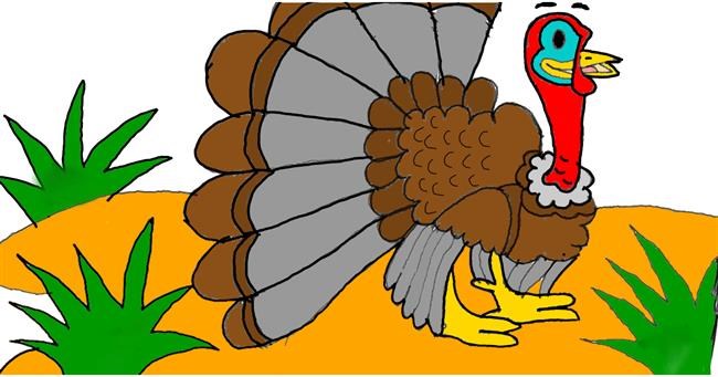 Drawing of Turkey by 💖Alekhya💖