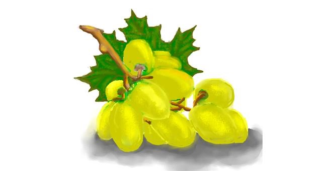 Drawing of Grapes by Dexl