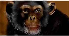 Drawing of Monkey by Mandy Boggs