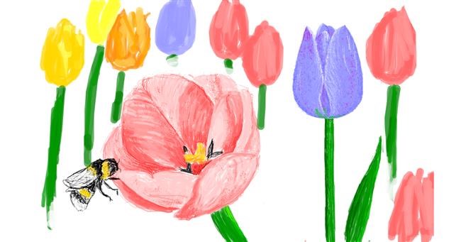 Drawing of Tulips by tRay