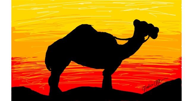 Kamel-Zeichnung von Ginger