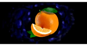 Drawing of Orange by meebo