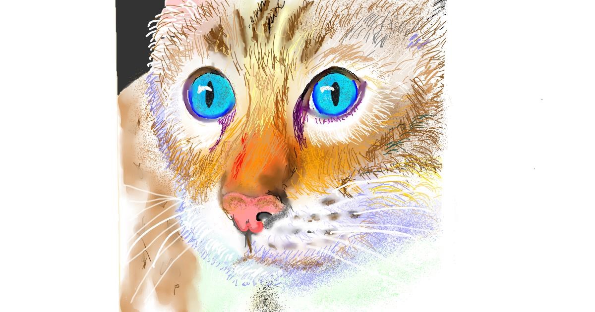 Drawing of Cat by GJP
