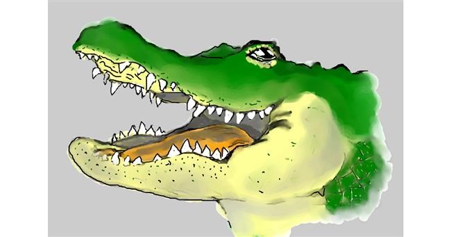 Drawing of Alligator by Debidolittle