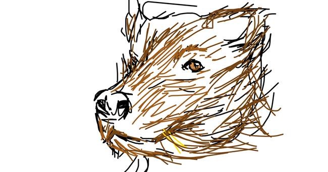 Drawing of Bear by [USER_UNIDENTIFIED]