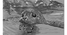 Drawing of Seal by teidolo