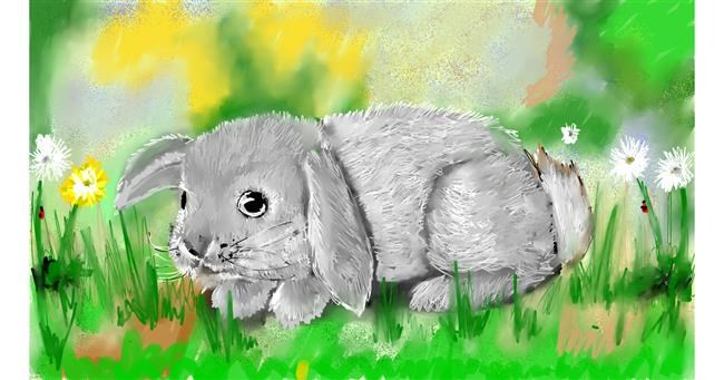 Drawing of Bunny by SAM AKA MARGARET 🙄