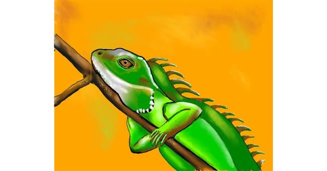 Drawing of Lizard by Cec