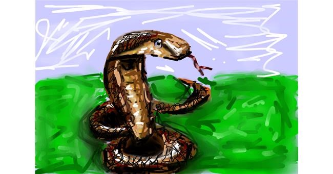 Drawing of Snake by Mia