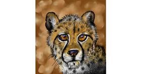 Drawing of Cheetah by Leah