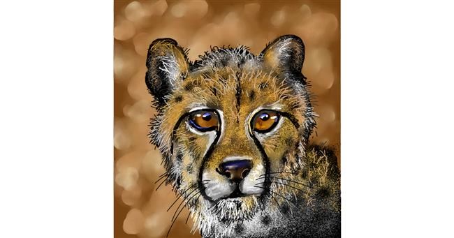 Drawing of Cheetah by Leah