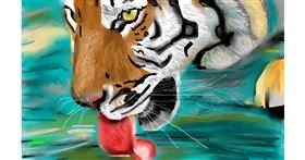 Tiger-Zeichnung von Herbert