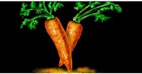 Karotte-Zeichnung von Eclat de Lune