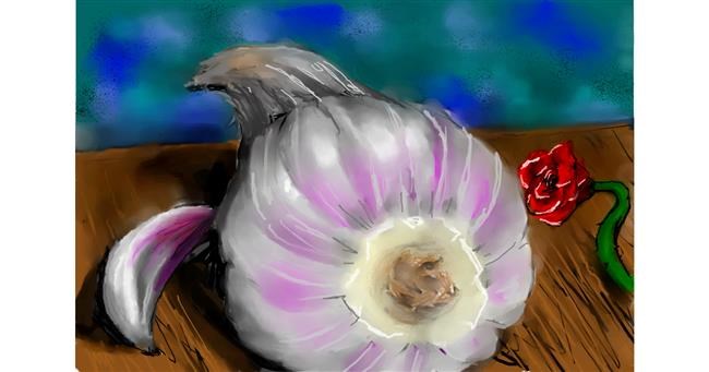 Drawing of Garlic by 🌹🖌𝑅oses-𝕽-𝑅ed