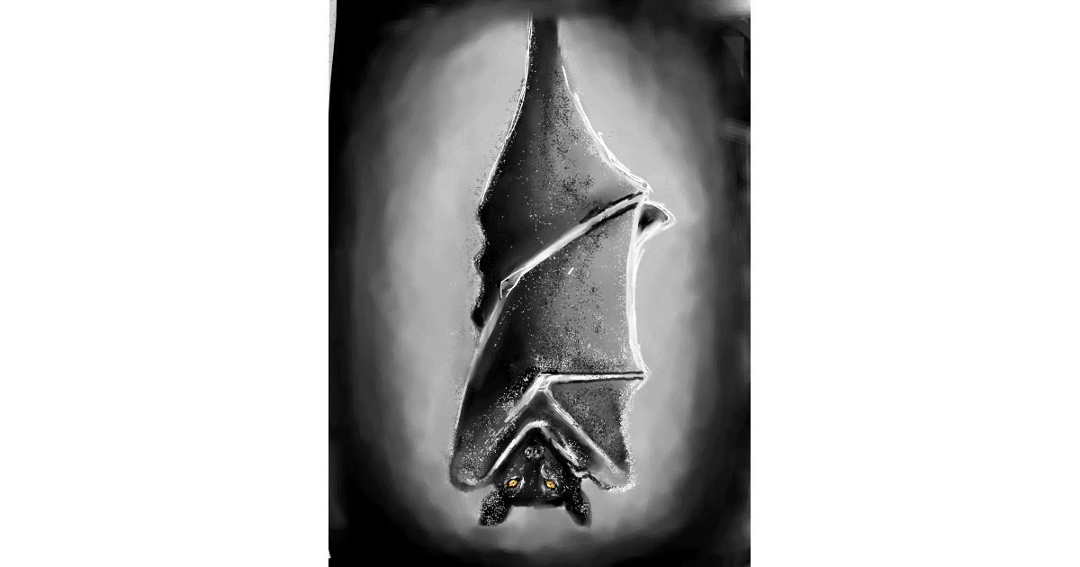 Full Size Drawing