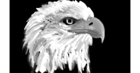 Drawing of Eagle by DrawSomething