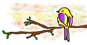 Drawing of Bird by Rosa