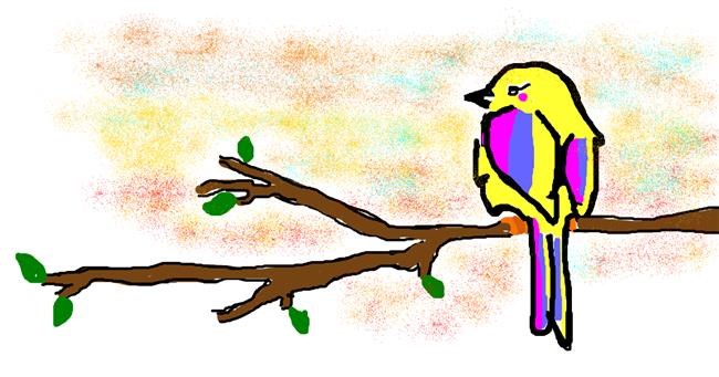 Drawing of Bird by Rosa