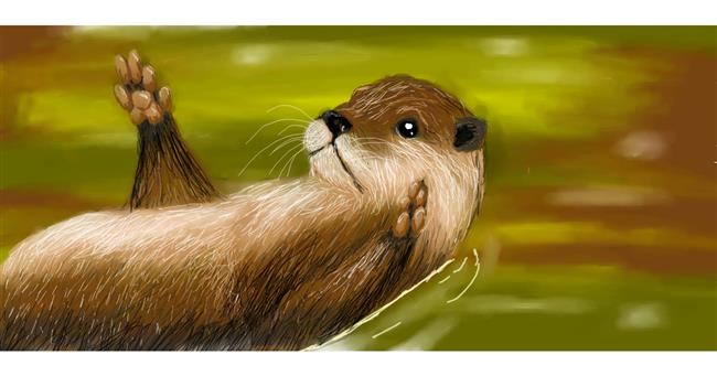 Otter-Zeichnung von Gabby