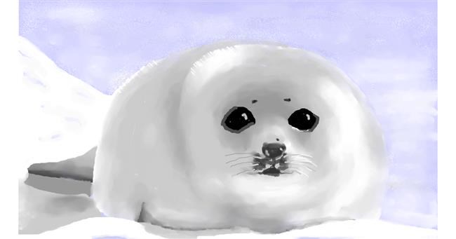 Drawing of Seal by Pinky