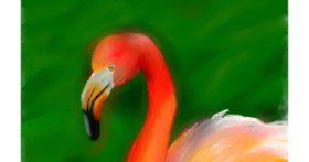 Drawing of Flamingo by Unknown