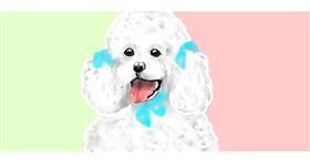 Drawing of Poodle by Debidolittle
