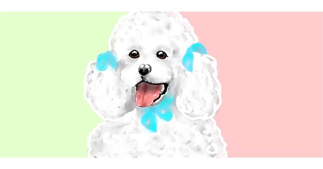 Drawing of Poodle by DebbyLee