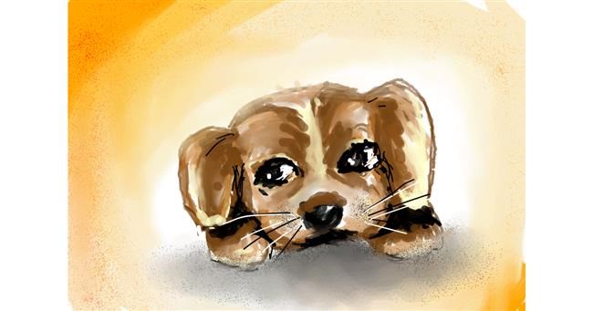 Drawing of Dog by Swastikaa 