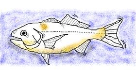 Drawing of Fish by Chloe