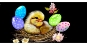 Drawing of Easter chick by Çhåching
