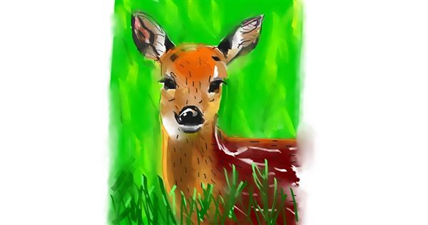 Drawing of Deer by Herbert - Drawize Gallery!