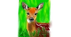 Drawing of Deer by Herbert