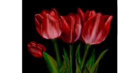 Tulipani - autor: Ryōmen