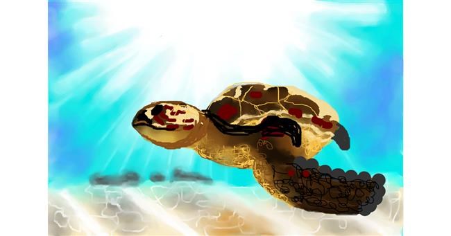 Drawing of Sea turtle by Sirak Fish