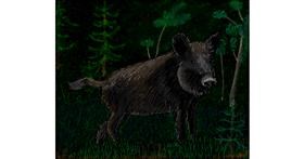 Drawing of Wild boar by Sofie