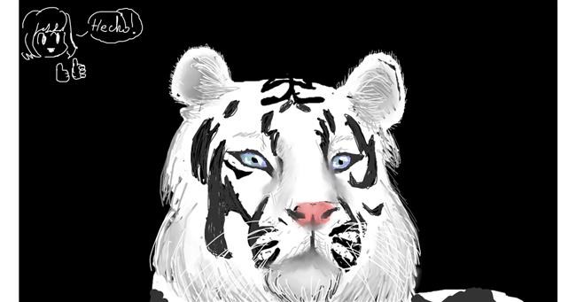 Drawing of Tiger by 🫧Maruchan🫧 🍜