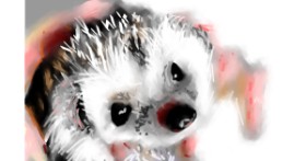 Drawing of Hedgehog by Herbert