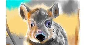 Drawing of Wild boar by Herbert
