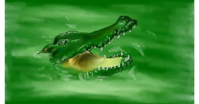 Drawing of Alligator by Unknown