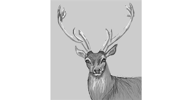 Drawing of Reindeer by Rak