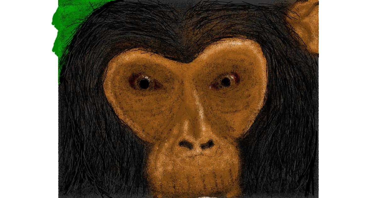 Drawing of Monkey by Malone