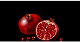 Drawing of Pomegranate by Eclat de Lune