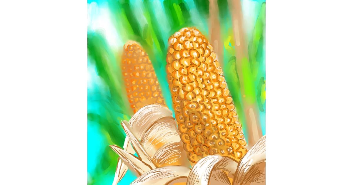 Drawing of Corn by Vinci