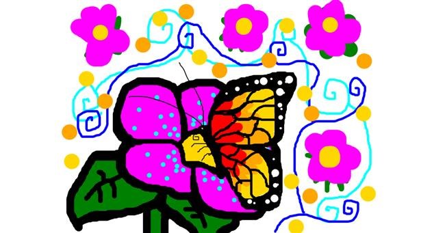 Drawing of Butterfly by hayzidayzi